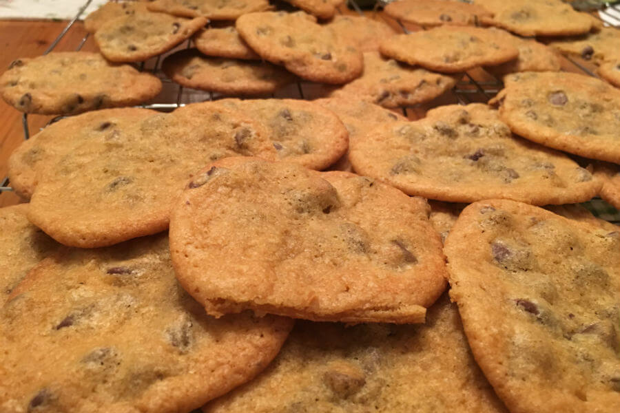 Fresh chocolate chip cookies, Groundhog Day, potato peeling, fun at the office, and more (7 Quick Takes)