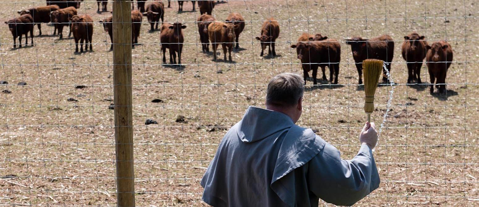 Holy Cows: Partnership in Howard County aids those in need in Baltimore City