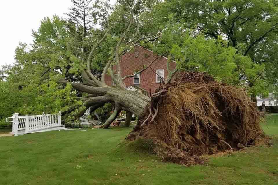 Heavy rains impact Archdiocese of Baltimore