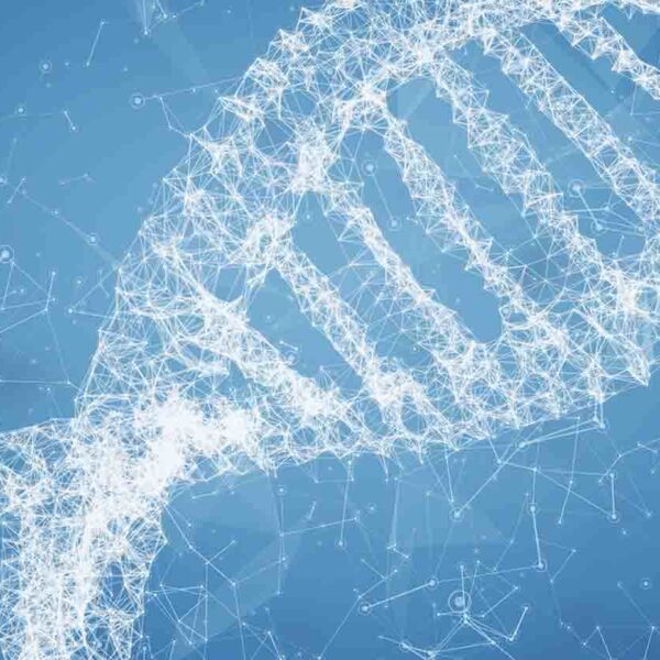 Genes, chromosomes – and God