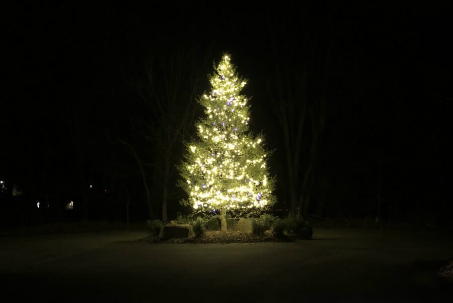 Baking cookies, the truth of the moose, carrots for the reindeer, trains, and a Christmas joke (7 Quick Takes)