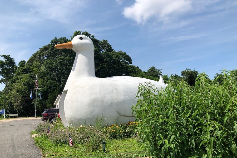 A summer visit to the Big Duck