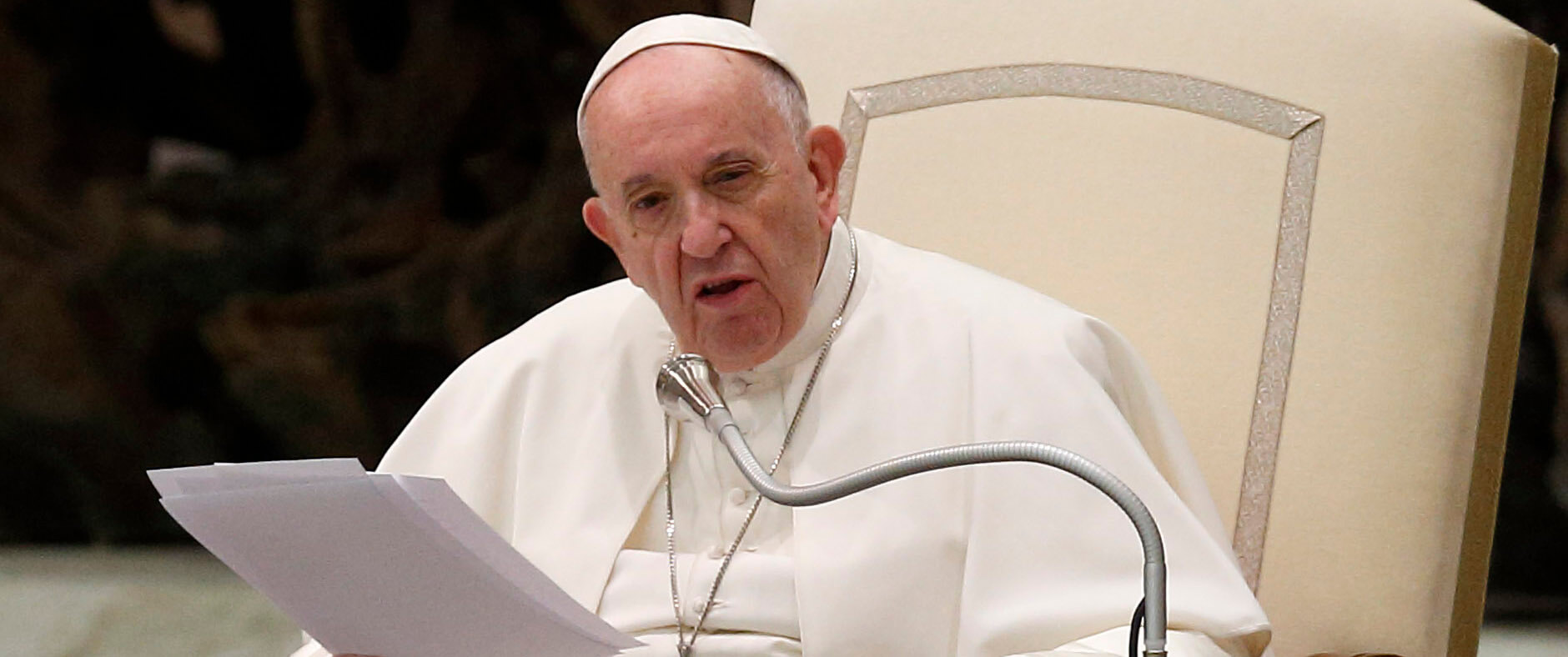 being-meek-does-not-mean-being-a-pushover-pope-says-at-audience