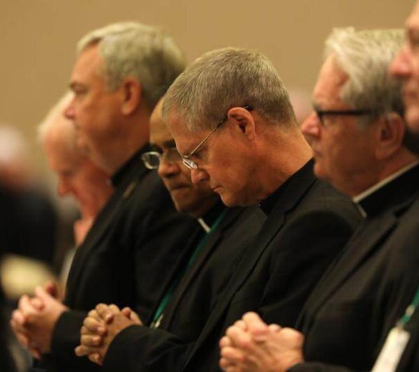 Reporting system to record abuse complaints against bishops begins