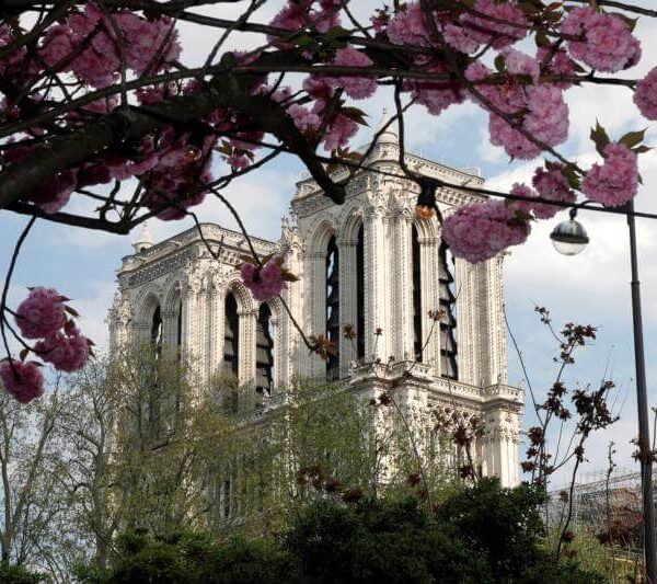 Paris archbishop welcomes Macron’s renewed pledge to rebuild Notre Dame