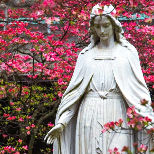 Bishops of U.S., Canada will consecrate their nations to Mary May 1