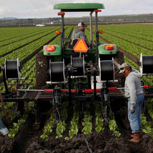 Advocates call attention to pandemic’s wrath on ‘essential’ farmworkers