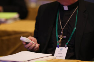 The fall general assembly of the U.S. Conference of Catholic Bishops.