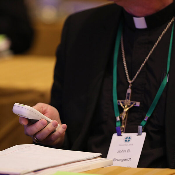 In gathering for U.S. bishops like no other, annual meeting goes online