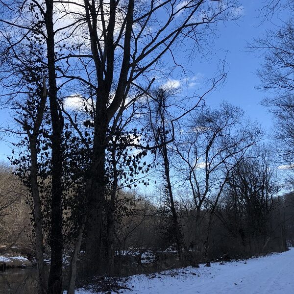 A winter walk with friends