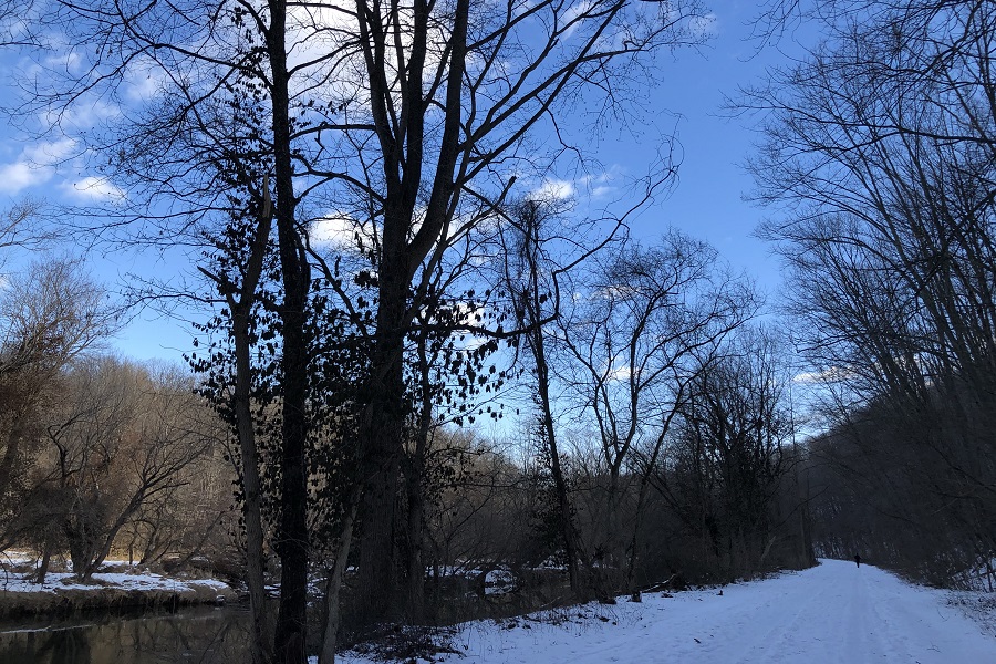 A winter walk with friends - Catholic Review