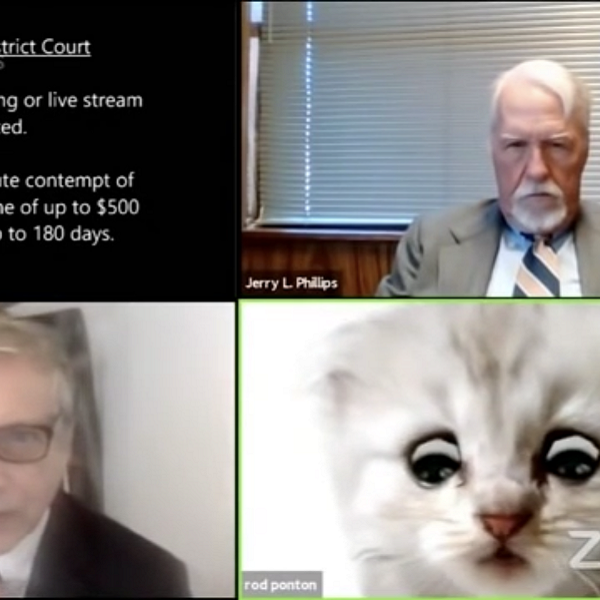 Need a laugh? Meet the Zoom kitten attorney