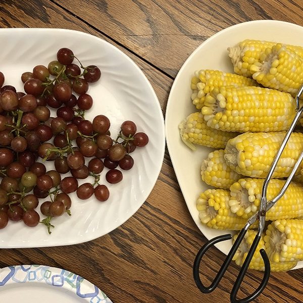 Serving platters, books, a broken fridge, and other excitement (7 Quick Takes)