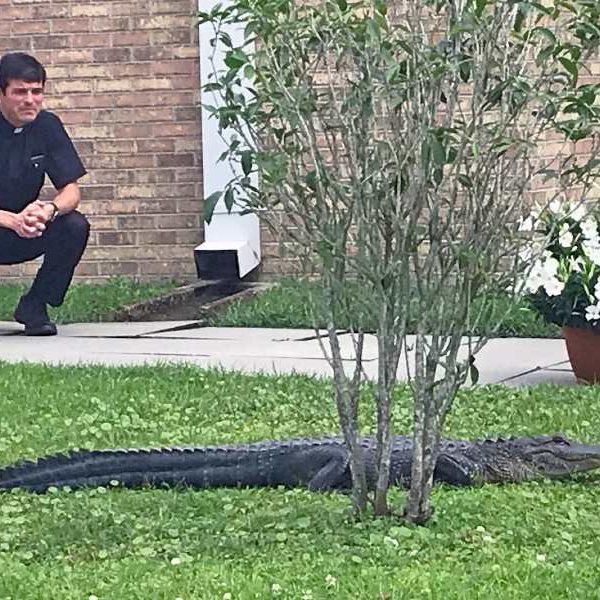 Louisiana Catholic church rolling out red carpet for lapsed gators