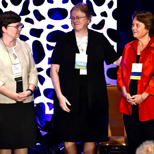 Keynotes, working sessions, reflection time make up LCWR’s virtual assembly