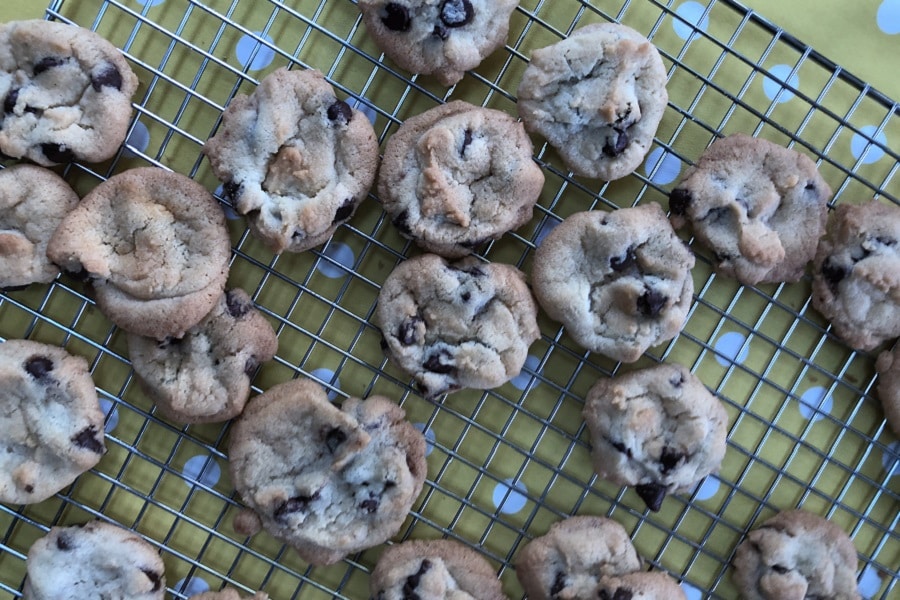 Cookies, crab cakes and cousin fun (7 Quick Takes)