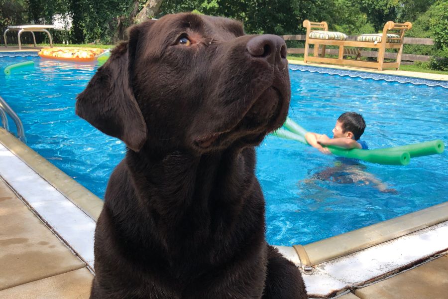 Opening our hearts to love