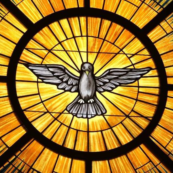 Mass to launch World Synod on Synodality is moving to Shrine of the Sacred Heart, Mount Washington