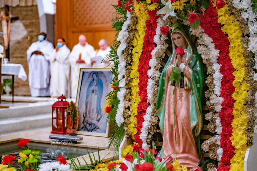 Nuestra Señora de Guadalupe, la 'Estrella de la Nueva Evangelización', une  las culturas - Catholic Review