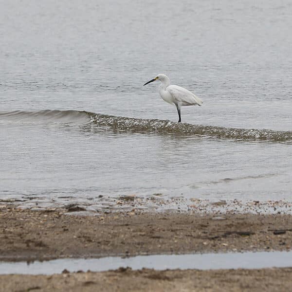 RADIO INTERVIEW: Catholics and the Environment