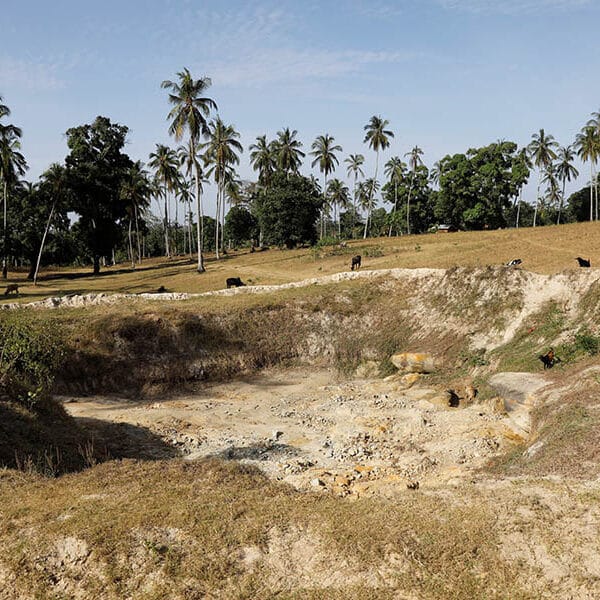 Vatican, offering ‘moral support,’ joins U.N. treaty on climate change