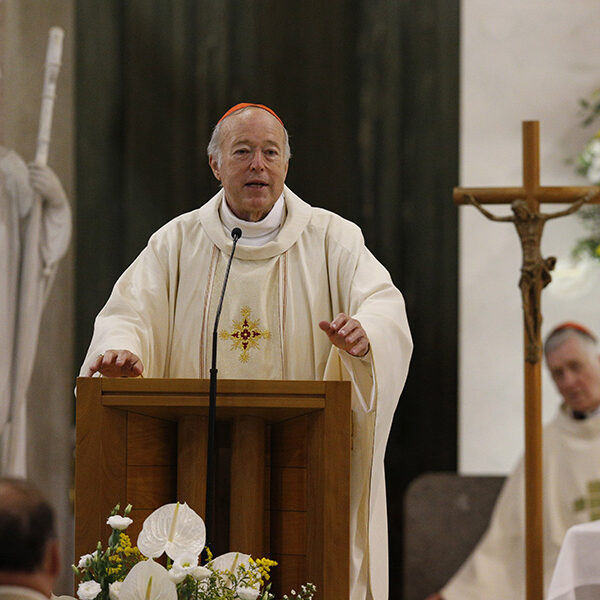 Newly created Cardinal McElroy celebrates Mass in Rome