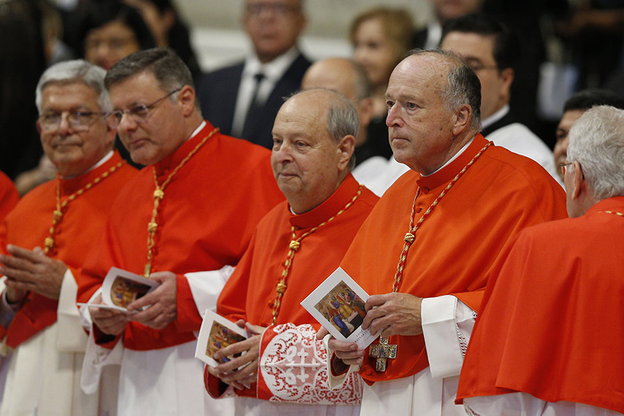 Pope Francis created 21 new cardinals for the Catholic Church