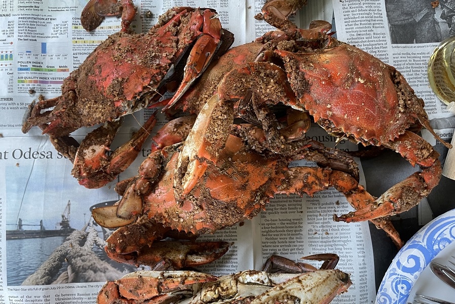 Principal 143+ imagen crabs from toilet seat In.thptnganamst.edu.vn