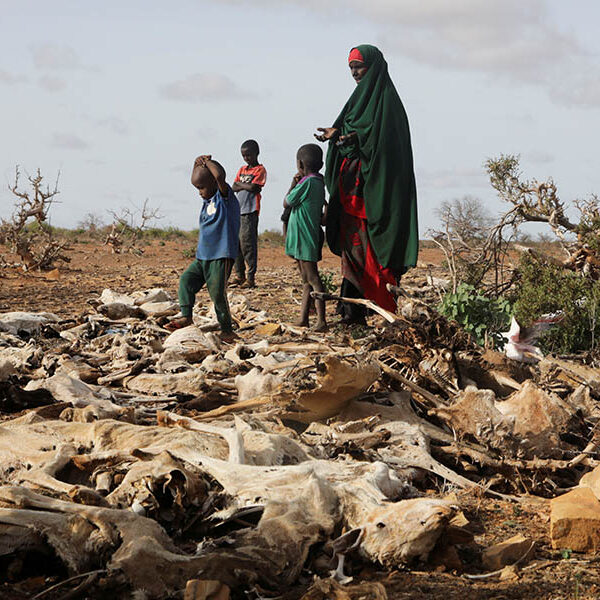 CRS, others call for increased aid to prevent Somalia’s looming famine