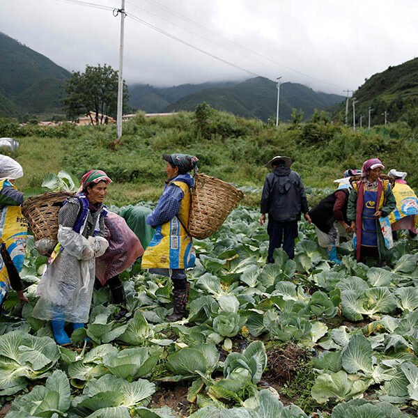 Caritas, UNESCO look at how to promote women in leadership