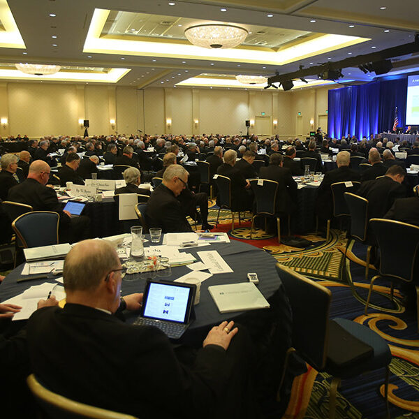 Bishops hear reports on CRS, disability partnership, World Youth Day