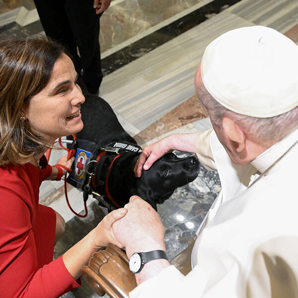 Physical vulnerability can be a resource for society, the church, pope says