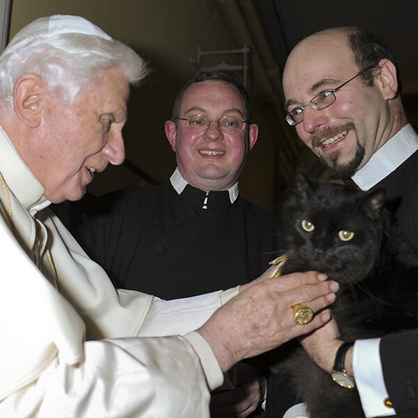 German pope made no secret of his love for cats