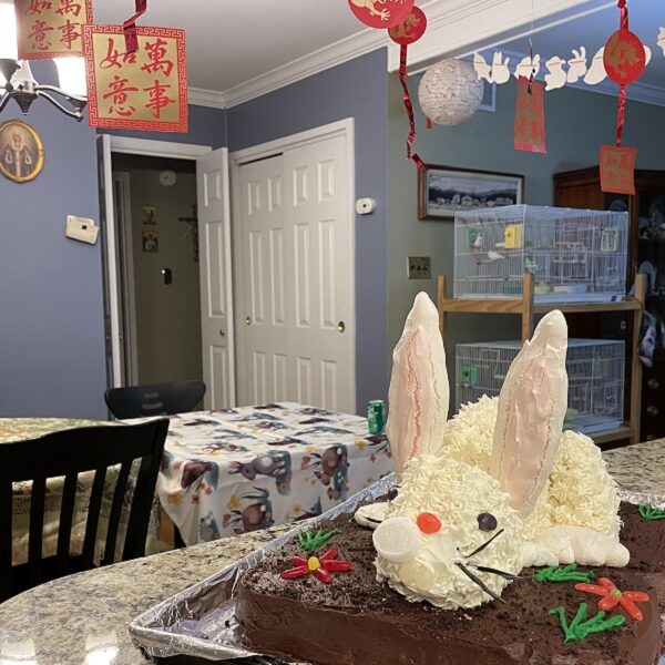 Happy Chinese New Year! Welcome to the Year of the Rabbit (7 Quick Takes)