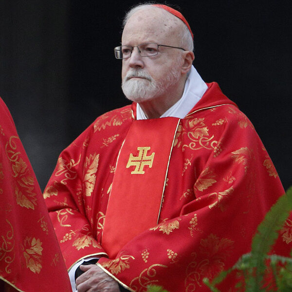 Safeguarding requires experts, survivors, support, cardinal says