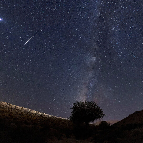 Catholics look to night skies as new comet reveals ‘the glory of God’