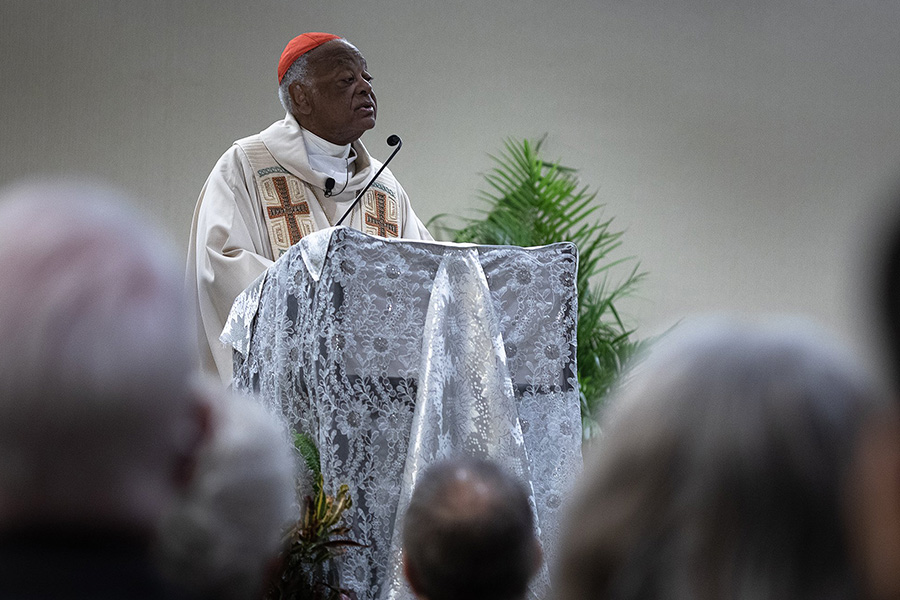 Social ministry 'fundamentally a work of faith,' cardinal says ...