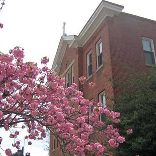 Seminary formation returns to its Baltimore roots on Paca Street