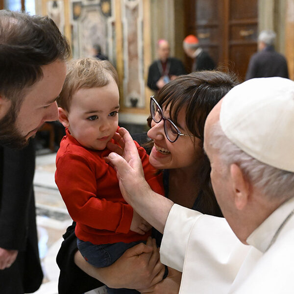 Every Catholic has something to contribute to the church, pope says