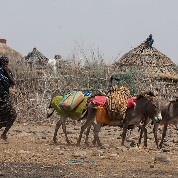 CRS, USAID help Ethiopia ‘at a time of great need’ amid devastating drought