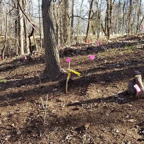 Baltimore’s Jesuit parish helps revitalize gravesite where enslaved people are buried