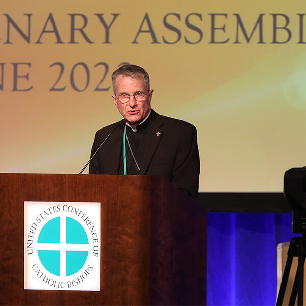 U.S. bishops advance pastoral initiatives to strengthen church amid discussions on Eucharist, priesthood, synodality