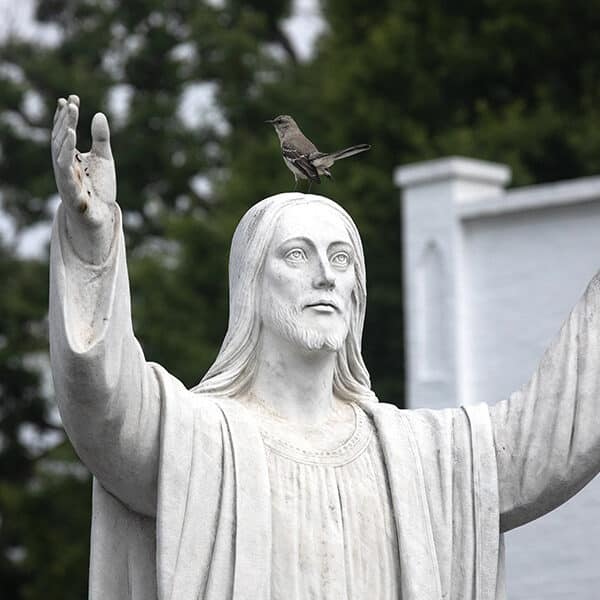 ‘Self-deferential love’