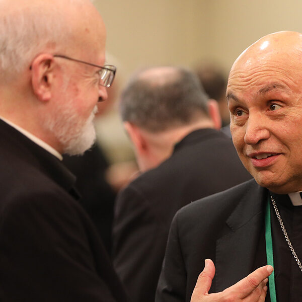 U.S. Bishops overwhelmingly approve 10-year plan to address pastoral needs of Hispanic Catholics