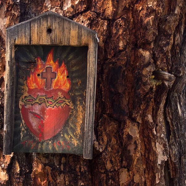 In June, let your garden honor the hearts of Jesus and Mary