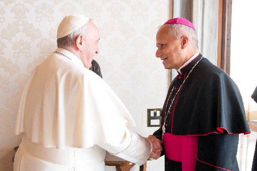 Pope Francis has appointed 21 new cardinals – an expert on