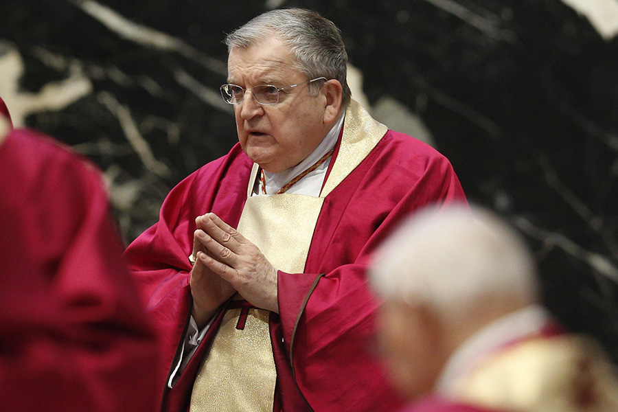 Cardinal Burke sees 'grave harm' coming from synod process - Catholic ...