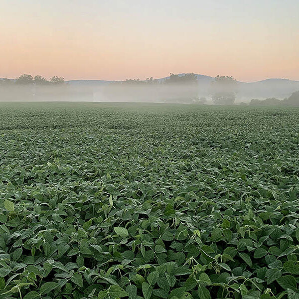 Farm bill key to food security in U.S. and abroad, Catholic activists say