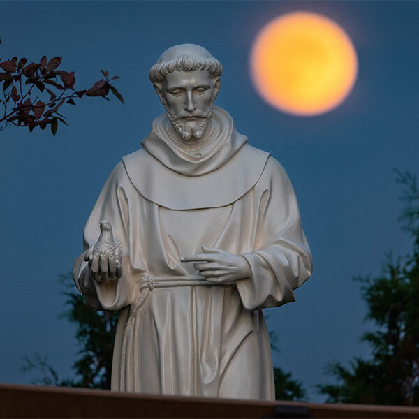 Reasons why St. Francis is a model of synodality