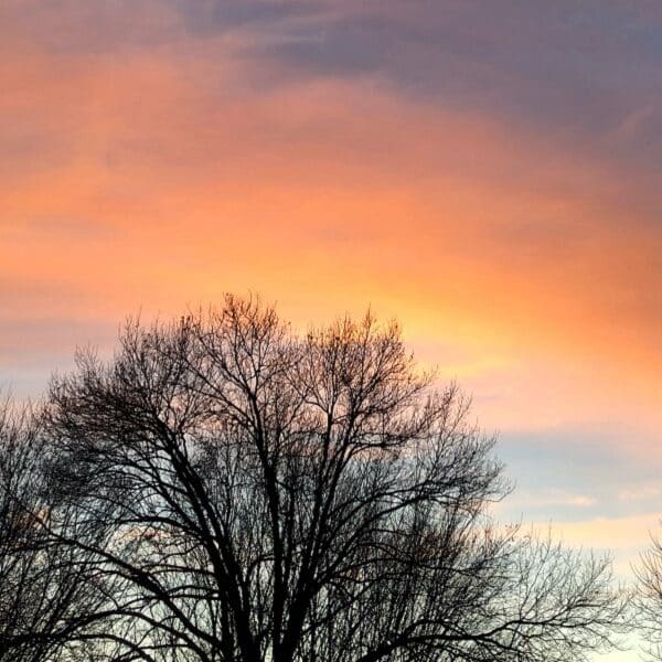 How Georgie changed my life